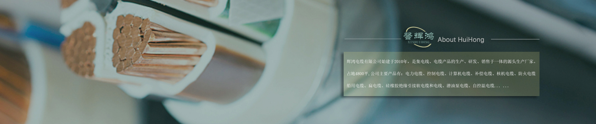 辉鸿简介