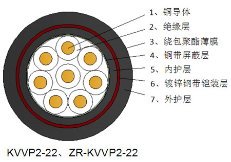 KVVP2-22屏蔽控制铠装电缆结构示意图.jpg